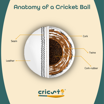 Cricket balls - What you need to know