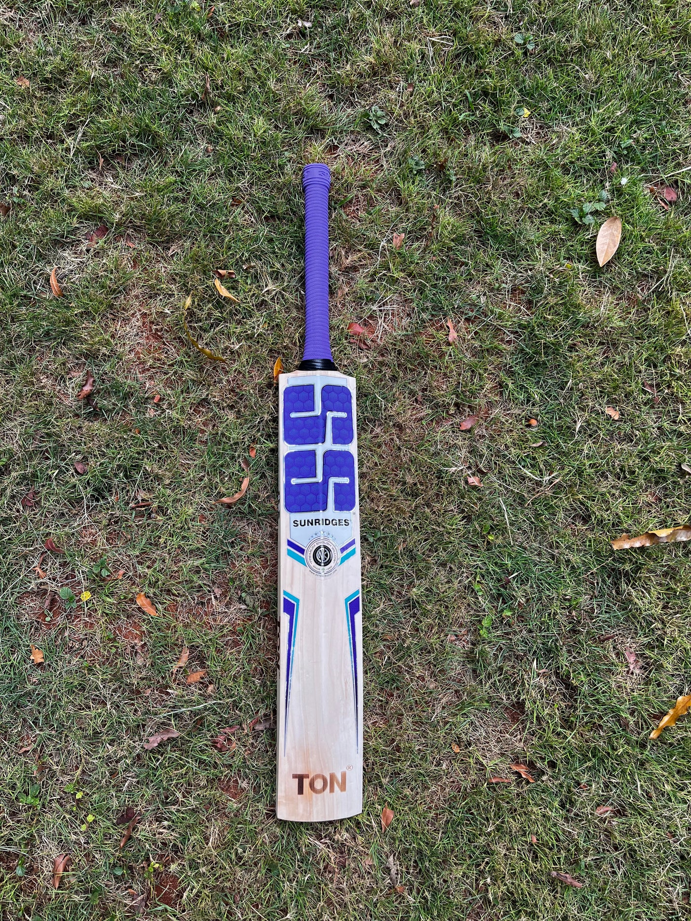 SS Champion Cricket Bat