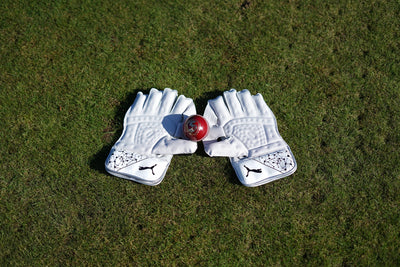 Puma Future 2 Wicket Keeping Gloves